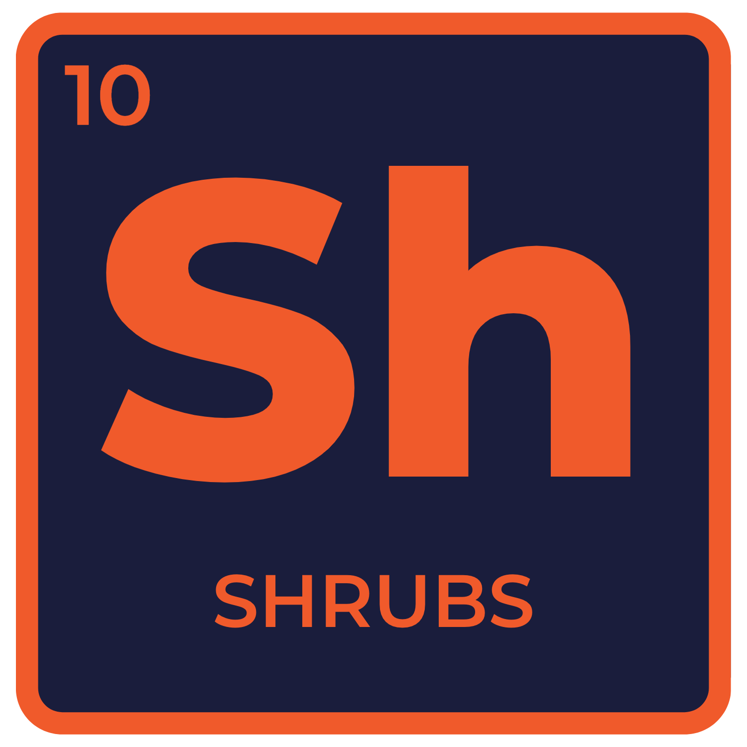 Shrubs